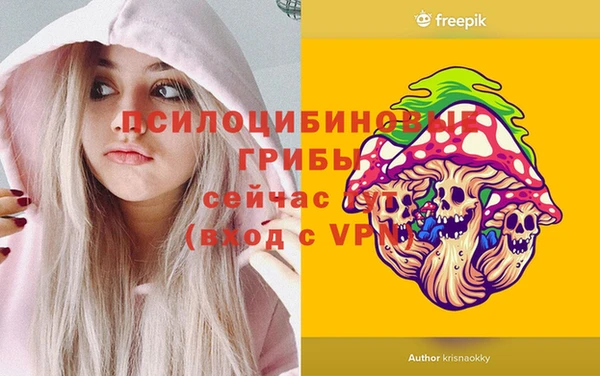 марки lsd Бердск