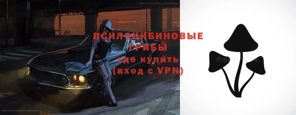 молекула духа Майский