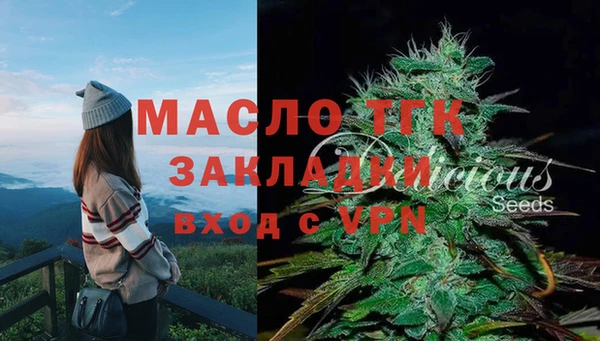 молекула духа Майский