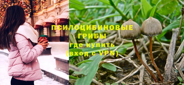 а пвп мука Мегион