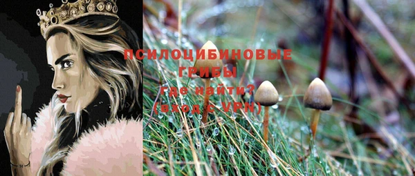 а пвп мука Мегион