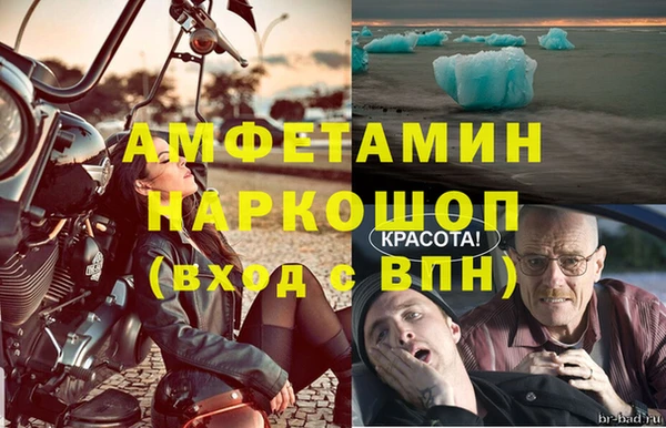 сатива Магадан