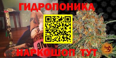 стаф Северобайкальск
