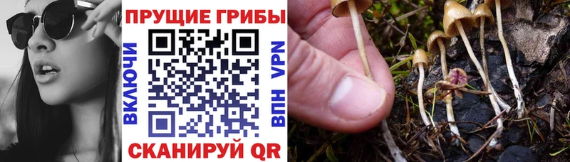 Псилоцибиновые грибы мицелий  MEGA   Тейково 