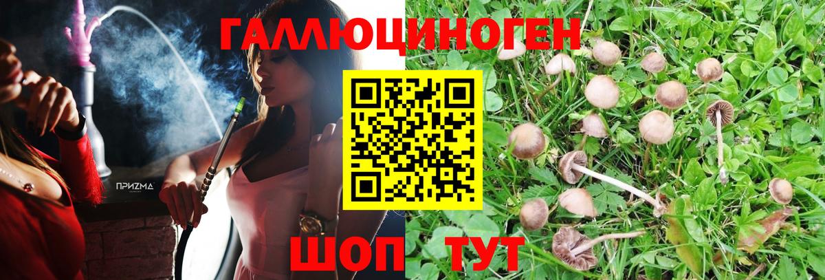 Псилоцибиновые грибы ЛСД Тейково
