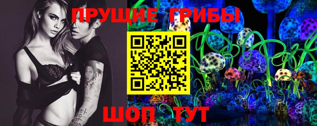 дарнет шоп  Тейково  Псилоцибиновые грибы Psilocybine cubensis 