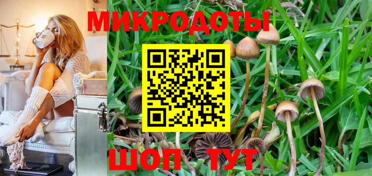 Псилоцибиновые грибы GOLDEN TEACHER  Вход с VPN  Тейково 